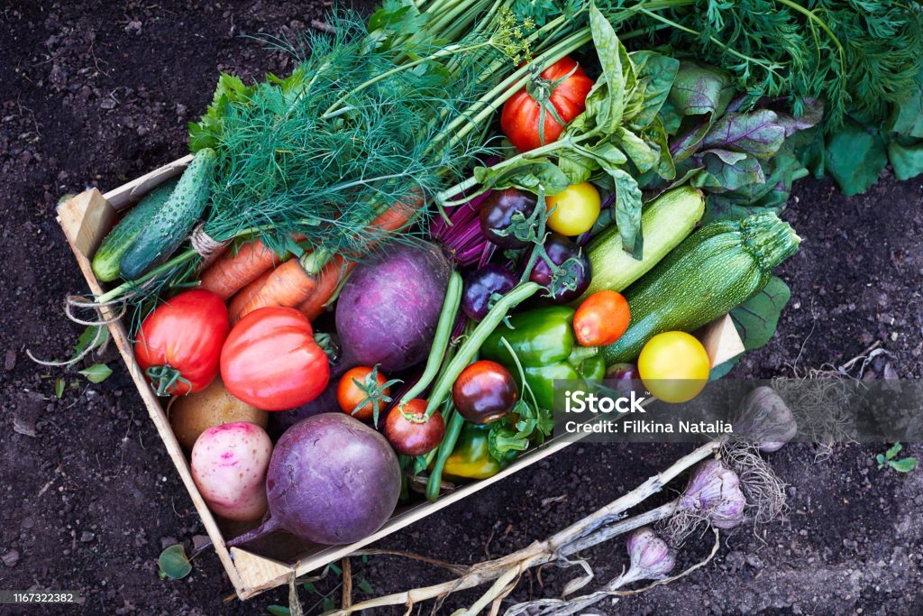 zdjęcie: istockphoto.com